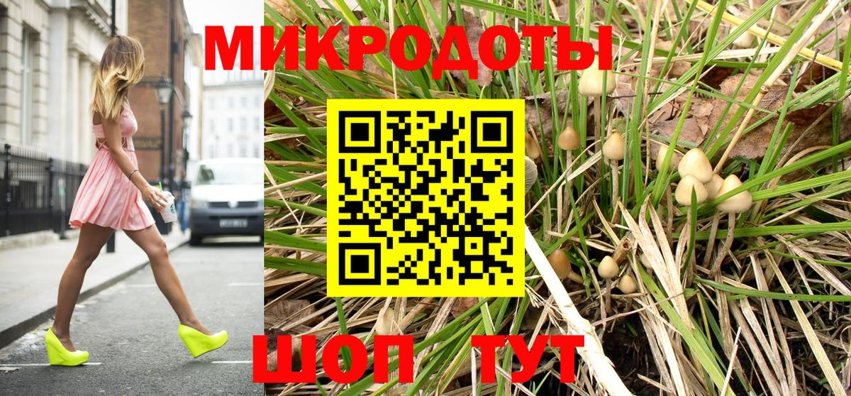 Галлюциногенные грибы Psilocybe Хасавюрт
